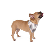 Load image into Gallery viewer, Moe Pet Bandana