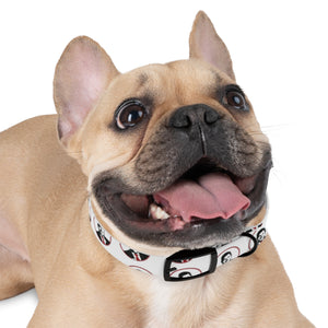 Moe Dog Collar