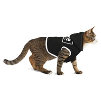MOE Pet Hoodie